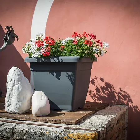 Palazzo Del Papa Country Apartment *