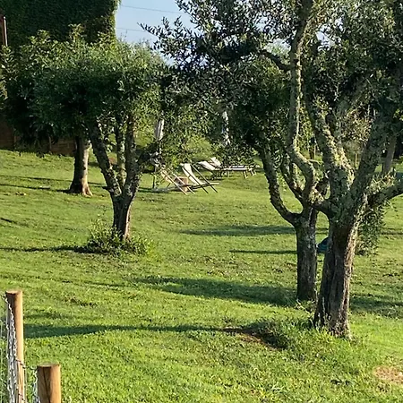 Palazzo Del Papa Country Apartment *
