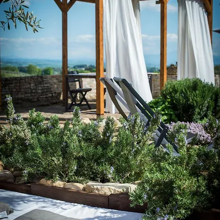 Apartment Palazzo Del Papa Country *